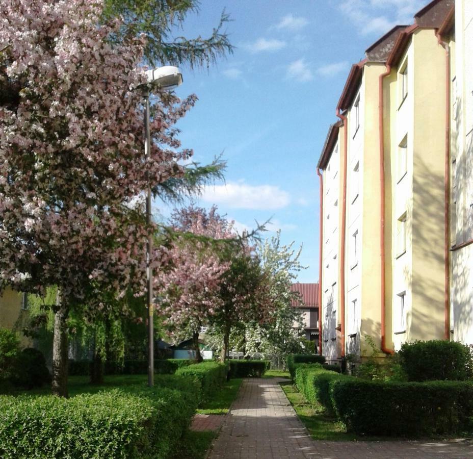 شقة Apartament Jasminowy كودوفا- زدروي المظهر الخارجي الصورة